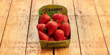 Hollandse aardbeien (400 g)
