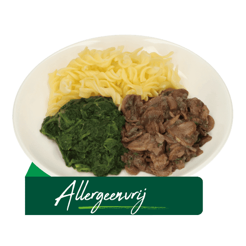 (Z15) Vegetarische champignonragout (Allergeenvrij)