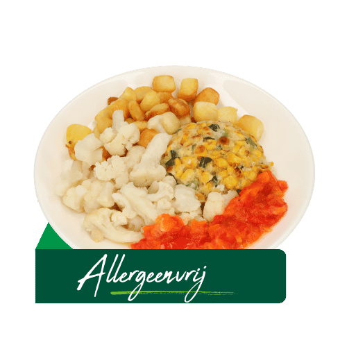 (Z18) Vegetarische mais burger (Allergeenvrij)