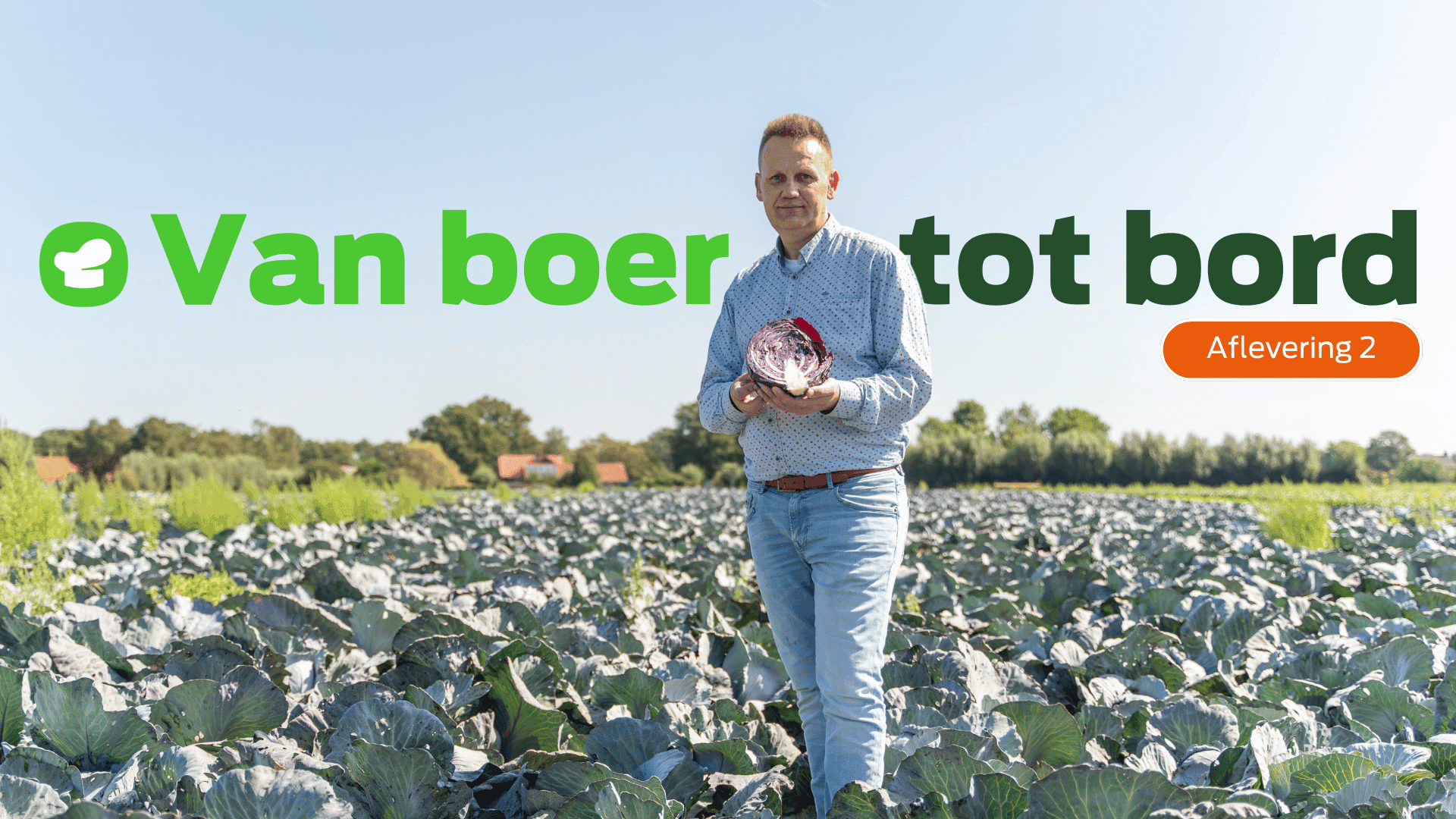 Van boer tot bord: Groenteproductie Flevoland