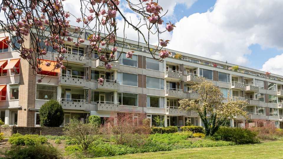 Zakelijk samenwerken met Uitgekookt: verse maaltijden voor zelfstandige ouderen in parkflat De Valkenburcht