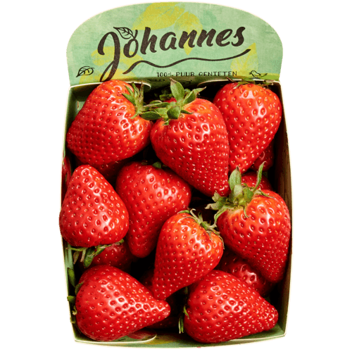 Hollandse aardbeien