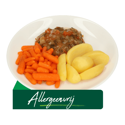 (Z17) Vegetarische groenteburger (Allergeenvrij)