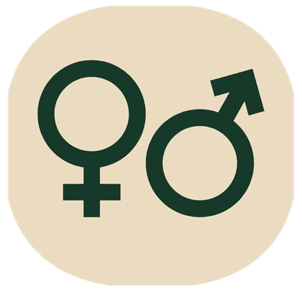 text-accent-alternative