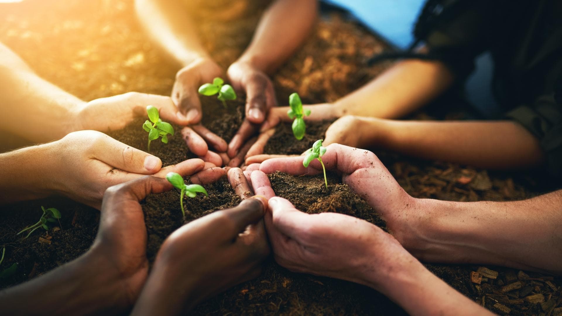 Inspiratie voor zacht eten - inclusief 20 handige recepten Inspiratie voor zacht eten - inclusief 20 handige recepten